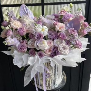 Stars Falling into Your Arms