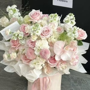 Weaving Dreams with Moonlight