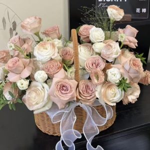 Seeking You in the Mist